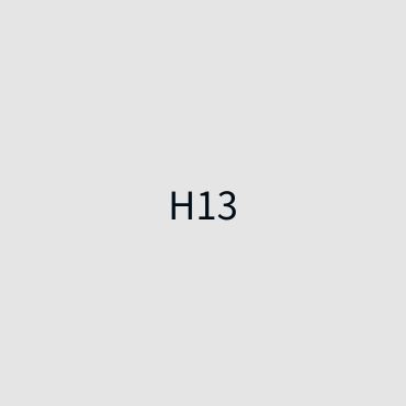 H13