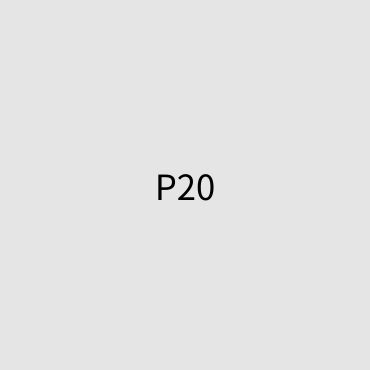 P20