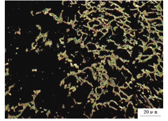 Dark Field Microscopy2