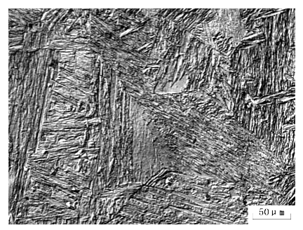 Differential Interference Contrast (DIC) 17CrNiMo6