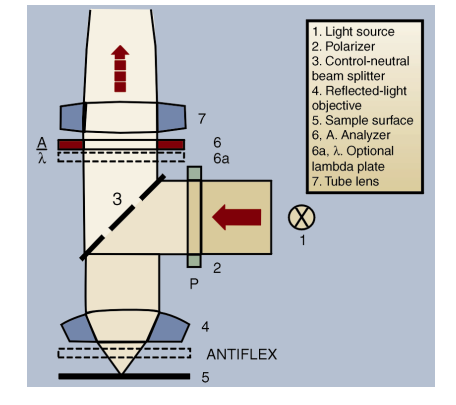 Polarizing Microscopy