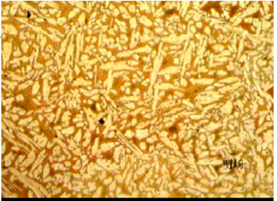 Polarizing Microscopy2