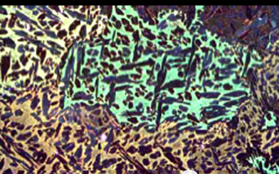 Polarizing Microscopy3