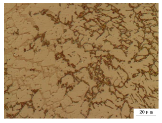 Polarizing Microscopy4